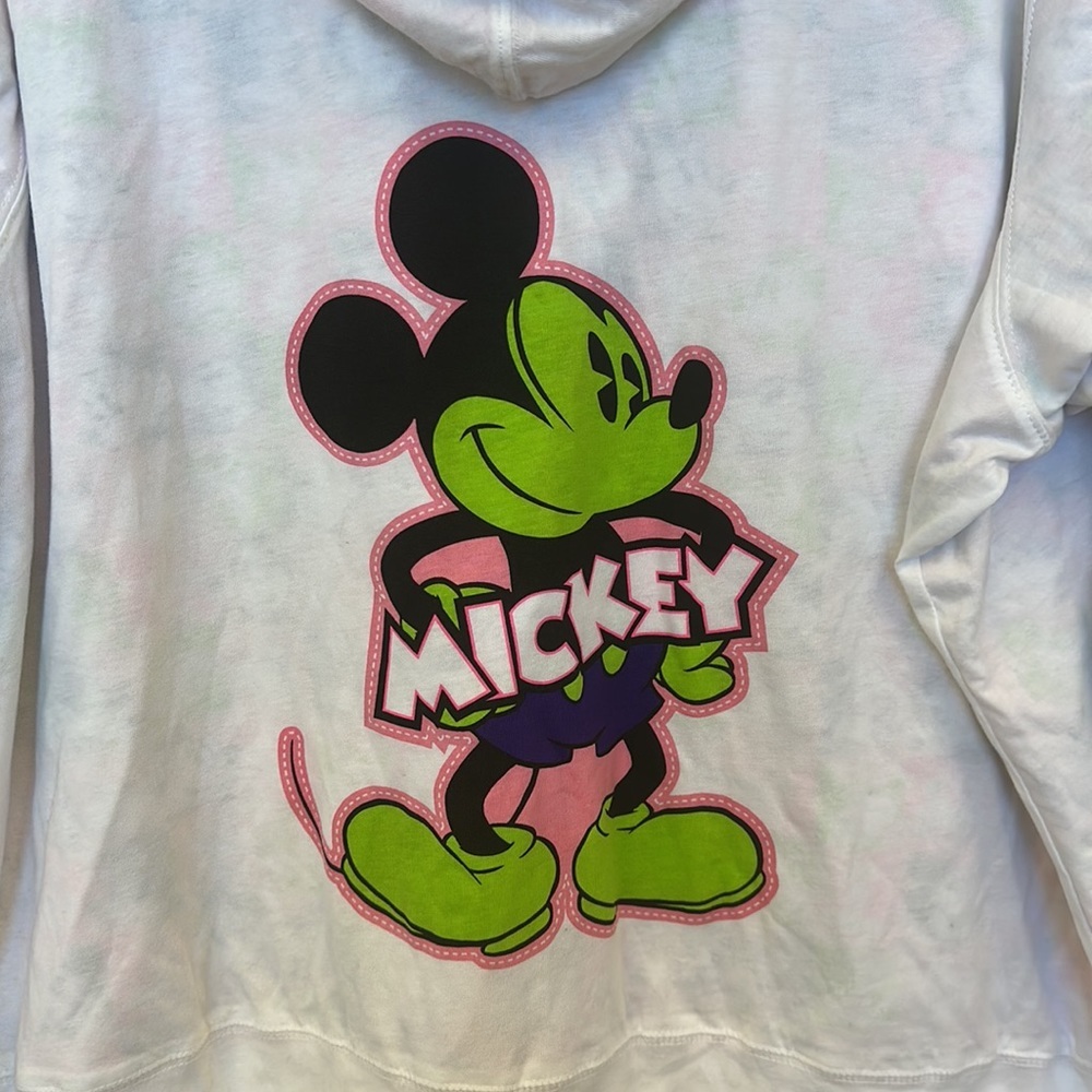 Walt Disney World Disneyland • 2 Piece Hoodie Set • Sz L Pants Sz 1X Hoodie NEW! - Picture 6 of 16